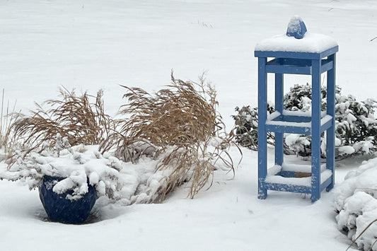 Designing a Winter Garden That Still Has Soul
